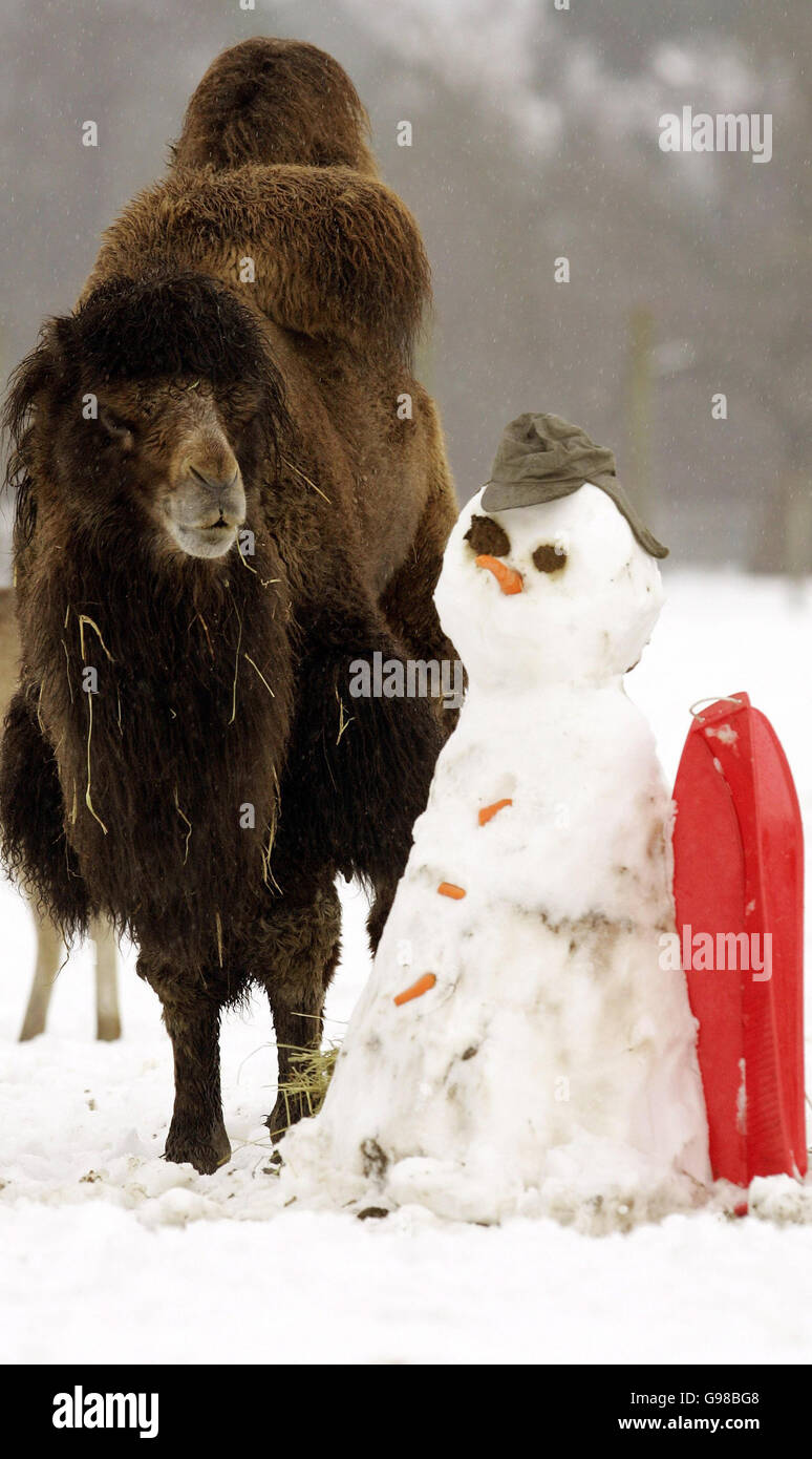 Meteo innevato in Gran Bretagna Foto Stock