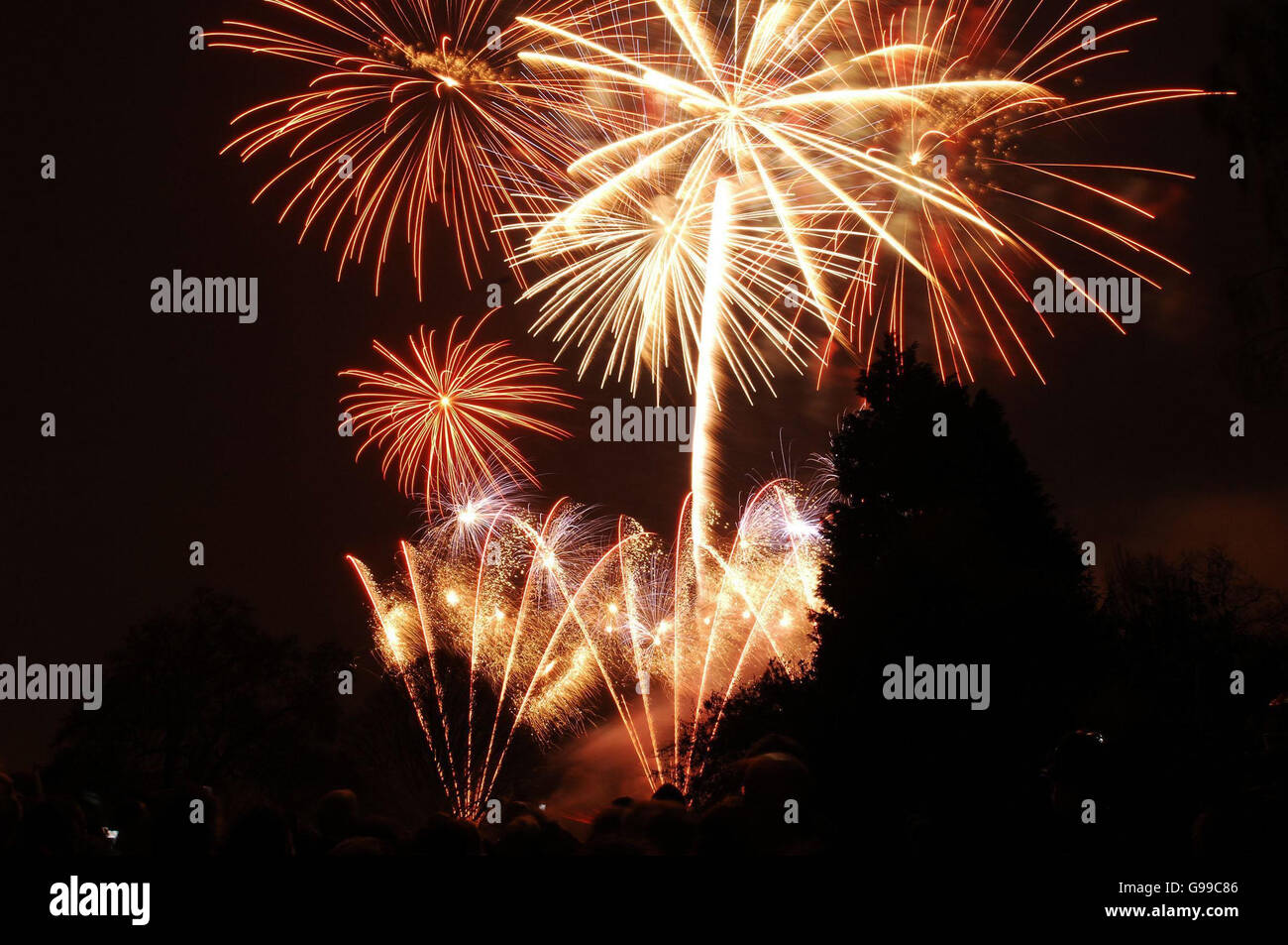 Parte di un enorme spettacolo di fuochi d'artificio al Kew Palace, nella parte ovest di Londra, per celebrare l'ottantesimo compleanno della Regina. Foto Stock