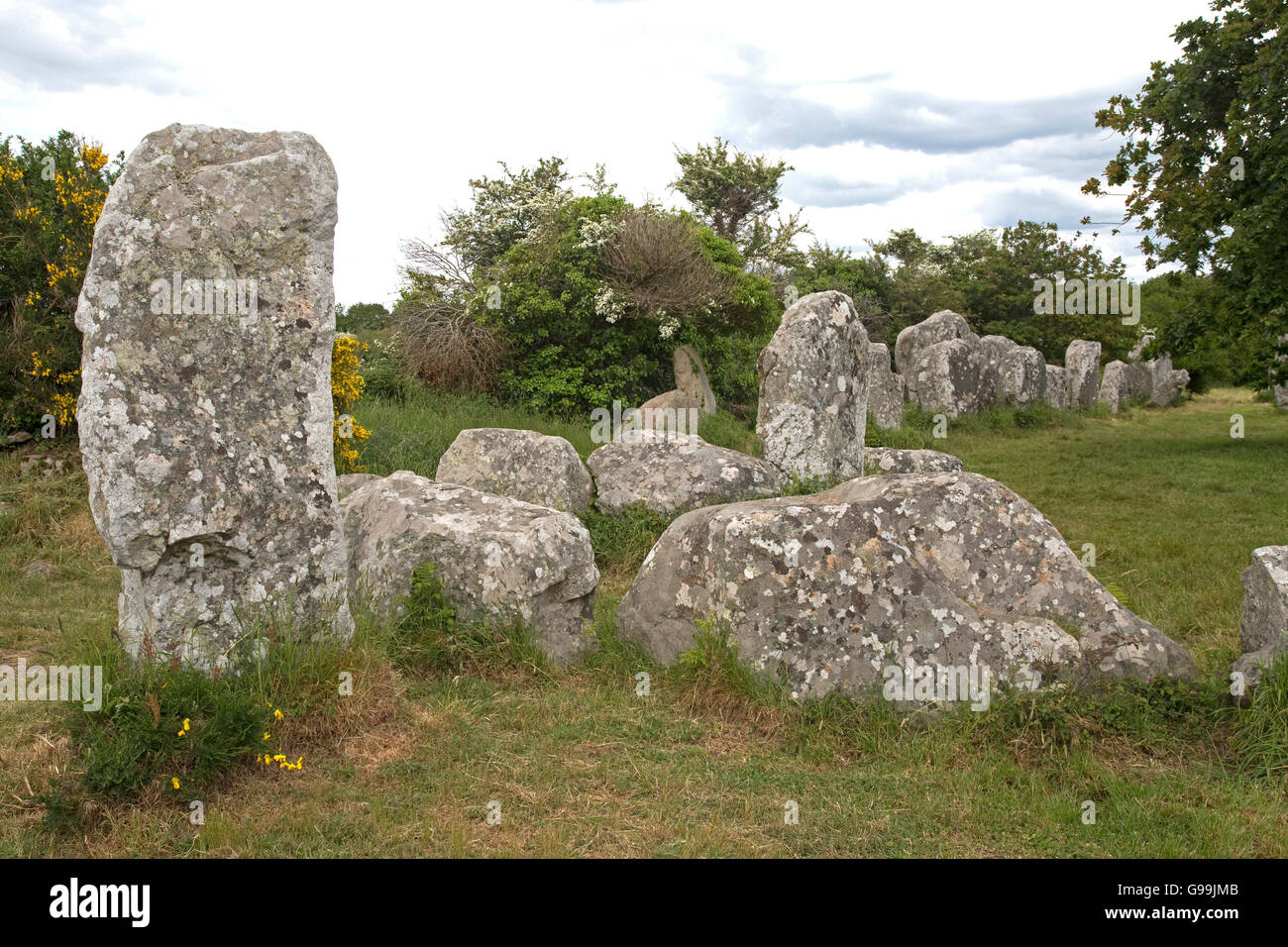 Gli allineamenti kerzerho patrimonio megalitico di Carnac erdeven Bretagna Francia Foto Stock