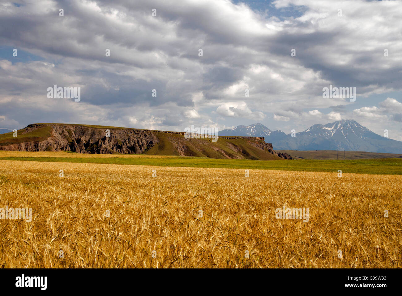 Vista mozzafiato e un campo e Monte Hasan, Aksaray, Turchia Foto Stock