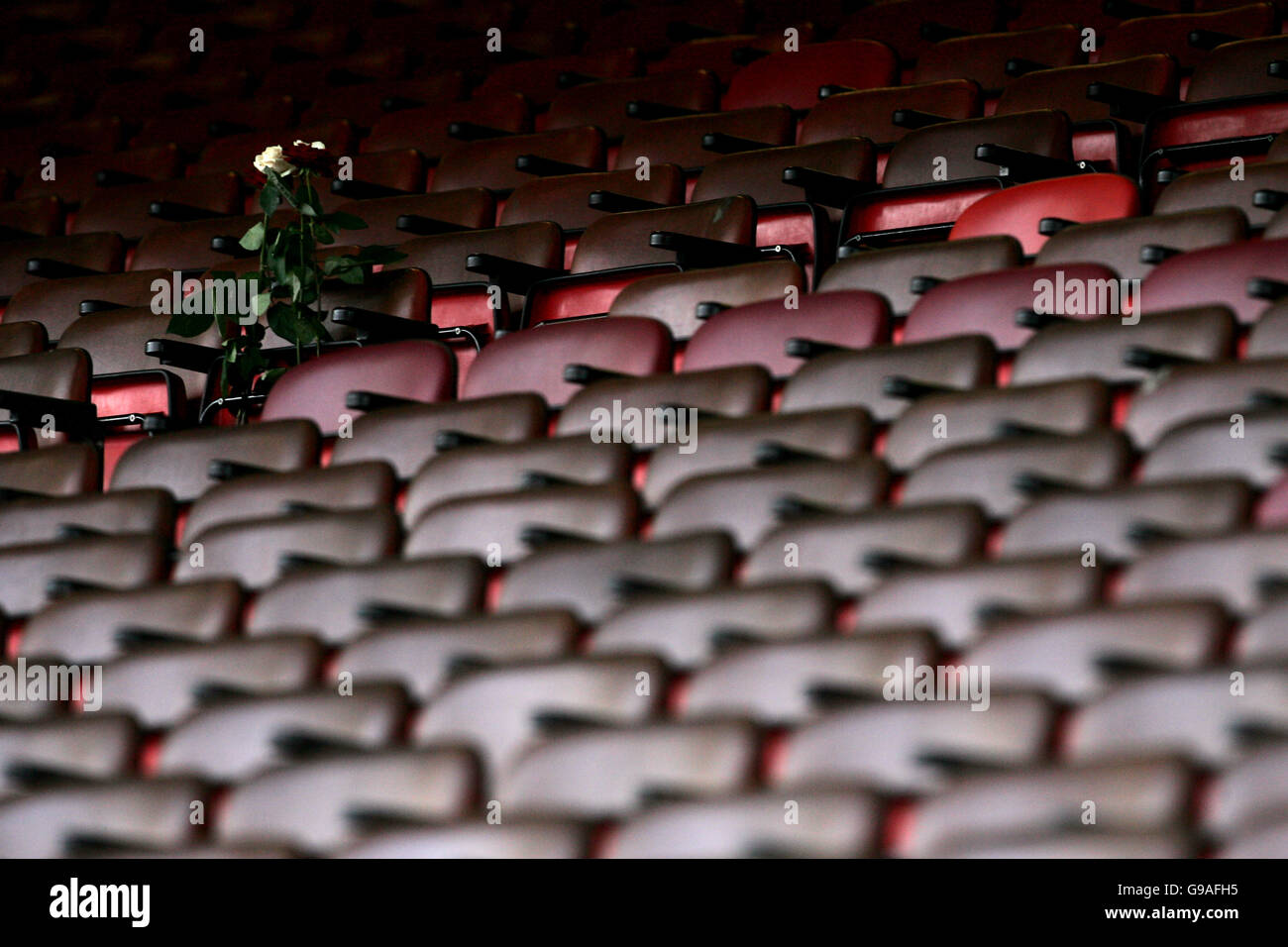 CALCIO Arsenal Foto Stock