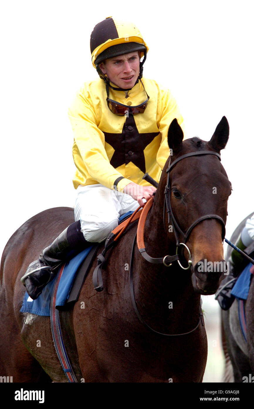 Corse ippiche - bluesq.com Spring Meeting - Ippodromo di Epsom Downs. Capo Royal guidato da R L Moore dopo essere stato secondo nella Coppa del mondo Cashback a Blue Square handicap Foto Stock