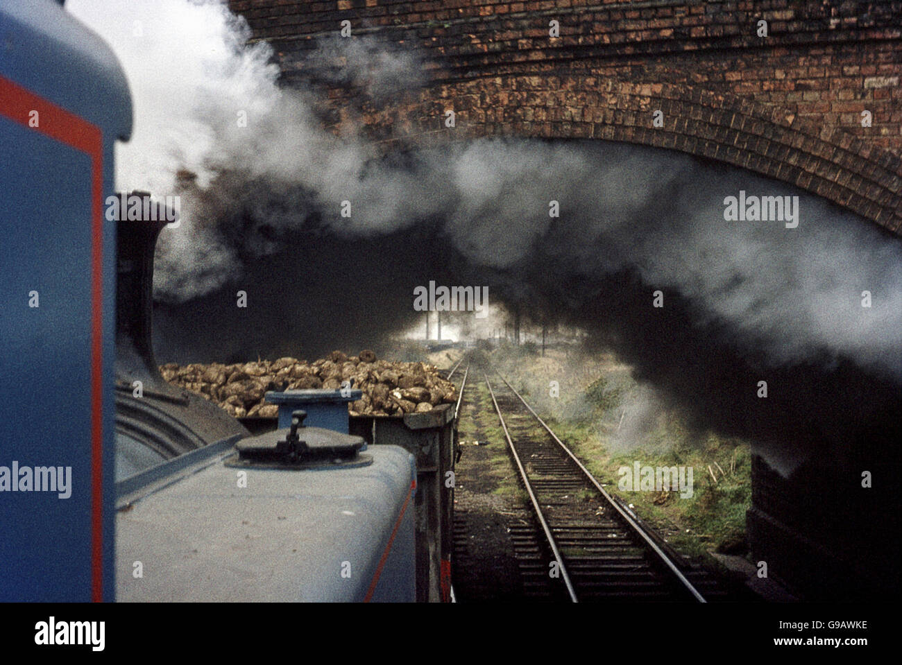 Peterborough fabbrica di zucchero di Hudswell Clarke 0-6-0T cale un rastrello di barbabietole da zucchero in fabbrica. Foto Stock