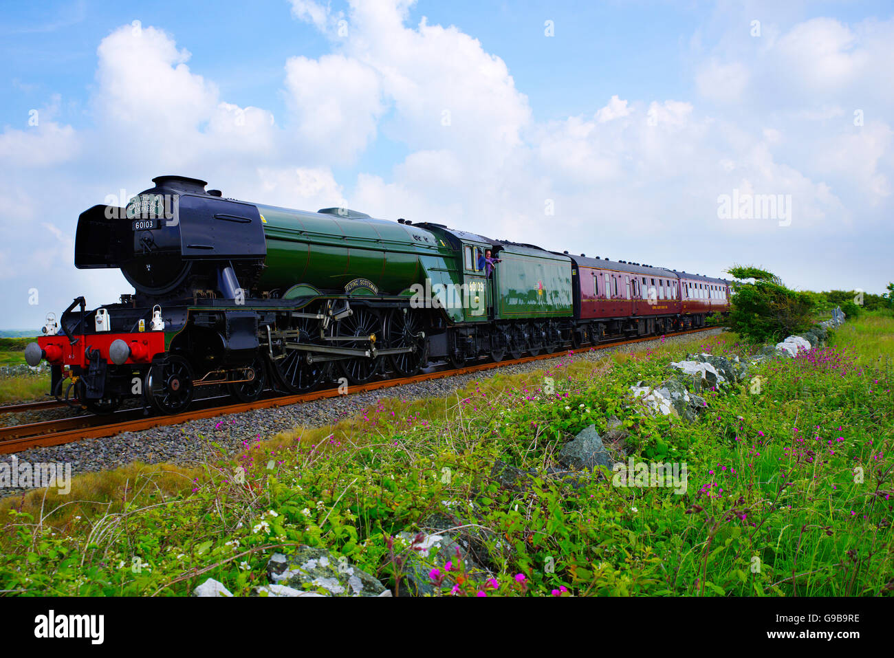 60103 Locomotiva Flying Scotsman, Cathedrals Express, a Valley, Anglesey, Foto Stock