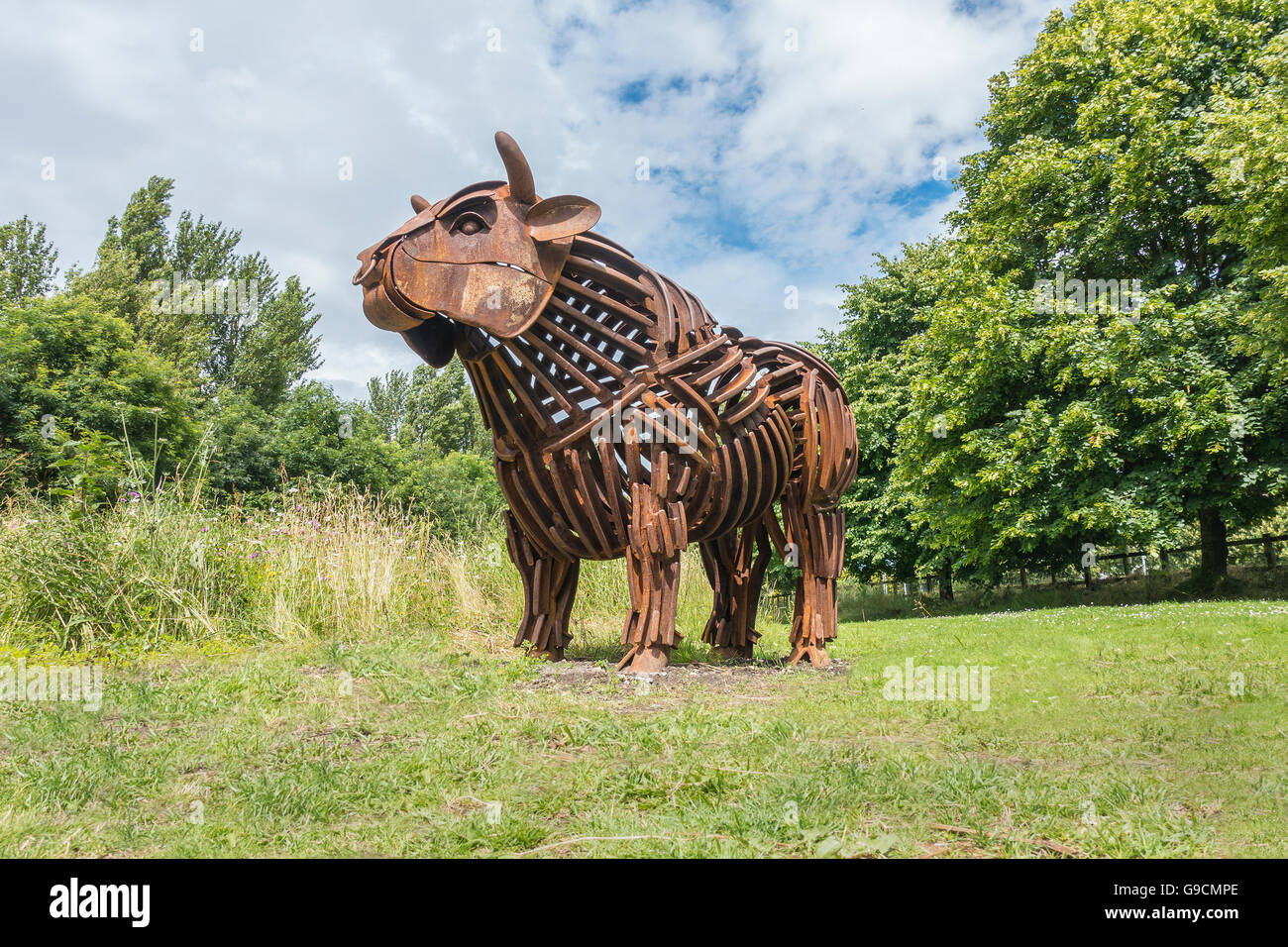 Il Toro scultura da Steven Portchmouth campo Conceria Canterbury Kent REGNO UNITO Foto Stock