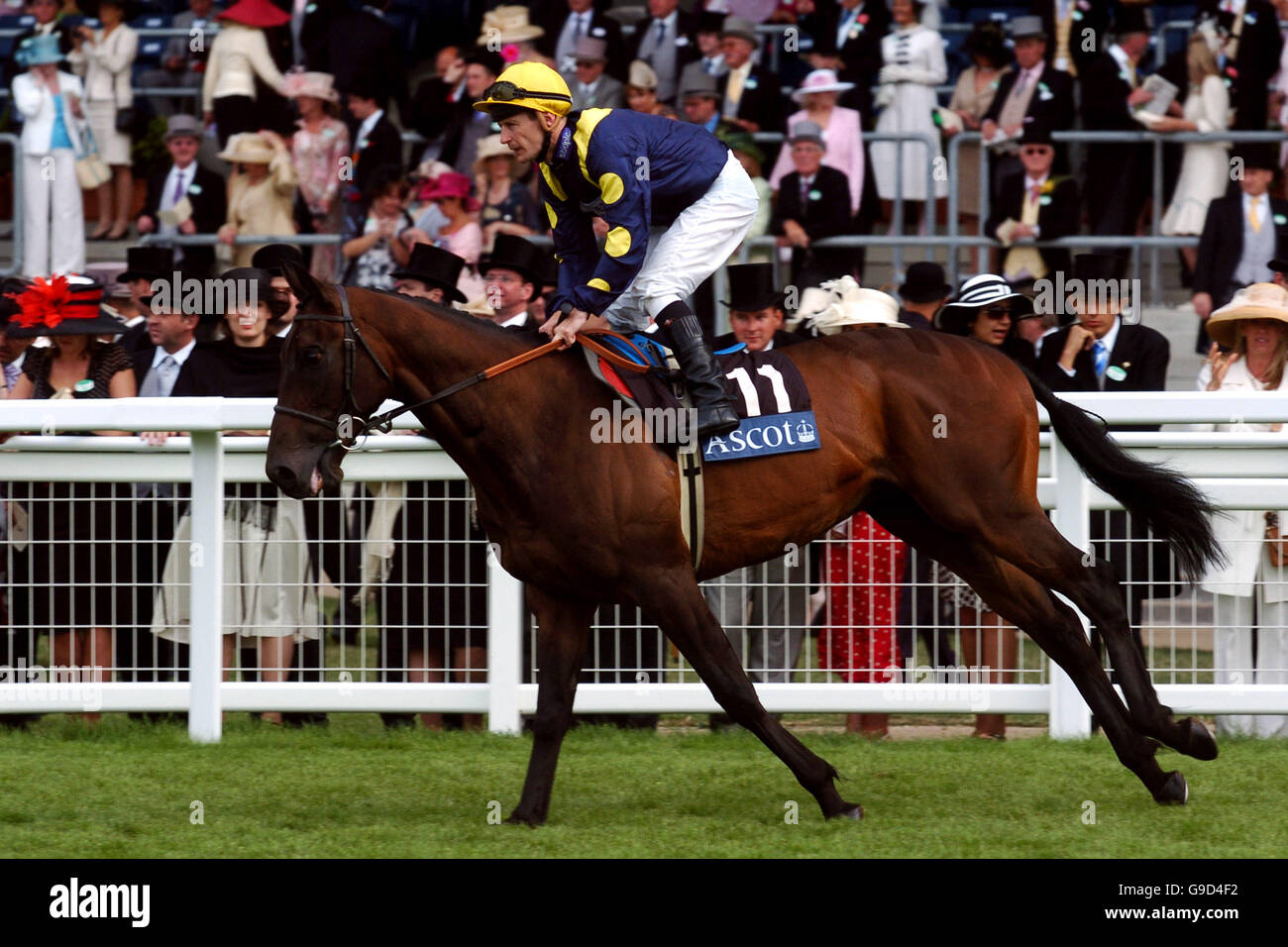 Alta portata guidato da Steve Drawne va a post prima Al Buckingham Palace Stakes Foto Stock