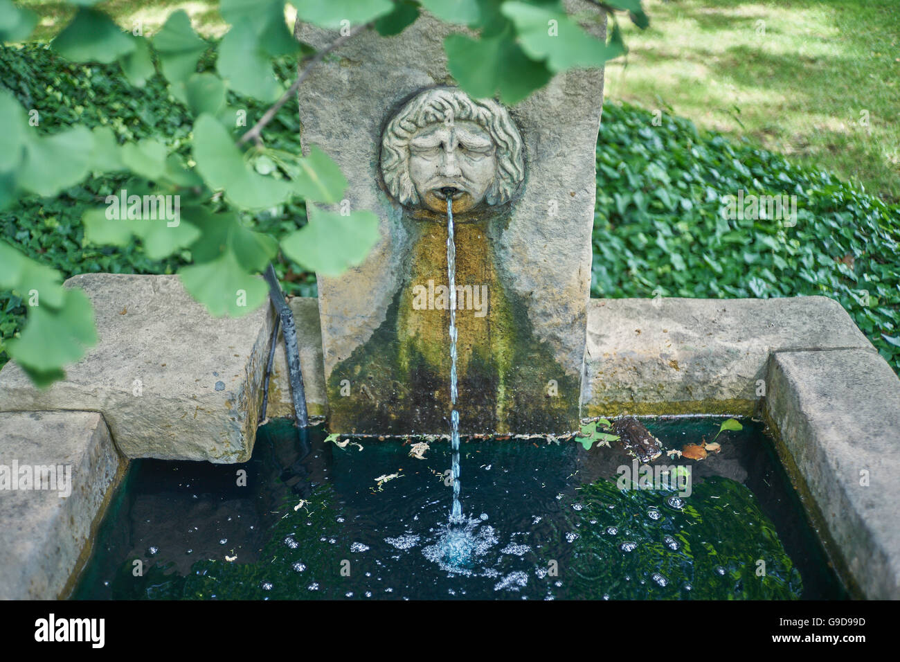 Fontana a forma di triste faccia stropicciata Giardini Botanici Wroclaw Foto Stock