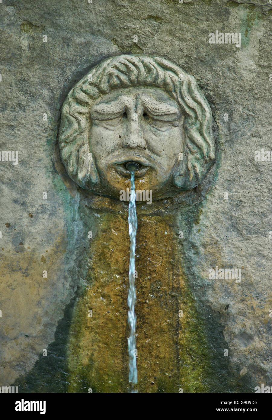 Fontana a forma di triste faccia stropicciata Giardini Botanici Wroclaw Foto Stock