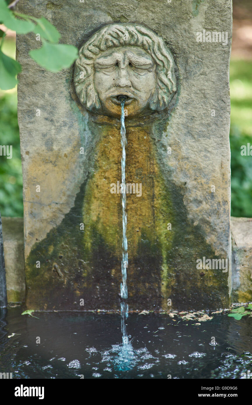 Fontana a forma di triste faccia stropicciata Giardini Botanici Wroclaw Foto Stock