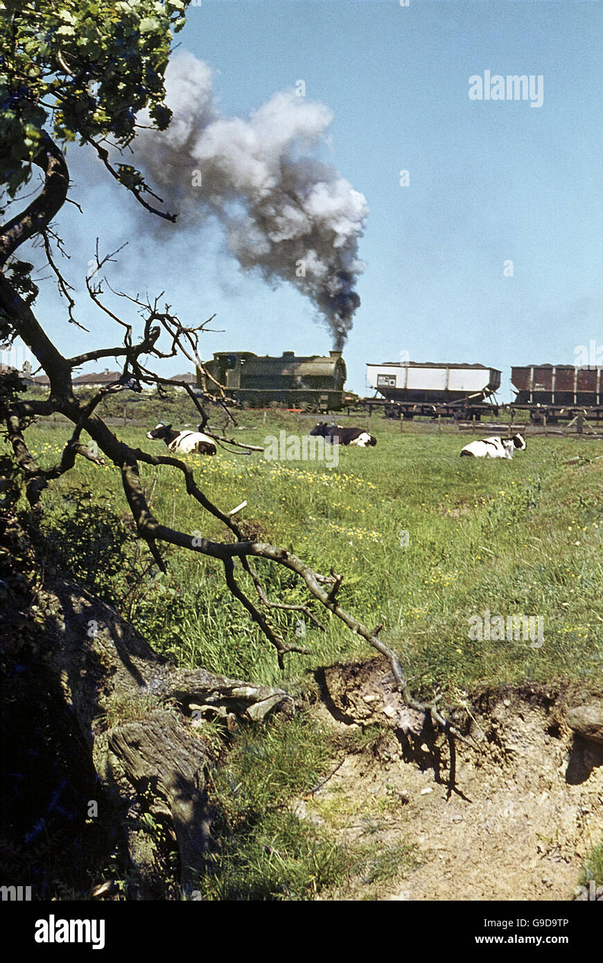 Austerità Hunslet 0-6-0STs in BCN servizio on the Cumberland bacino. Foto Stock