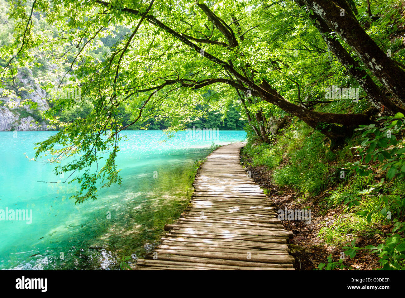 Un percorso a piedi nel parco nazionale di Plitvice, Croazia. Foto Stock