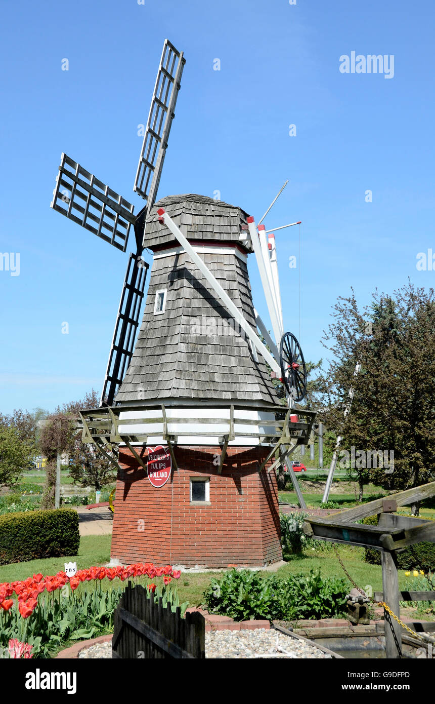 Il mulino a vento a Veldheer azienda durante il tulip time festival in Olanda, Michigan Foto Stock