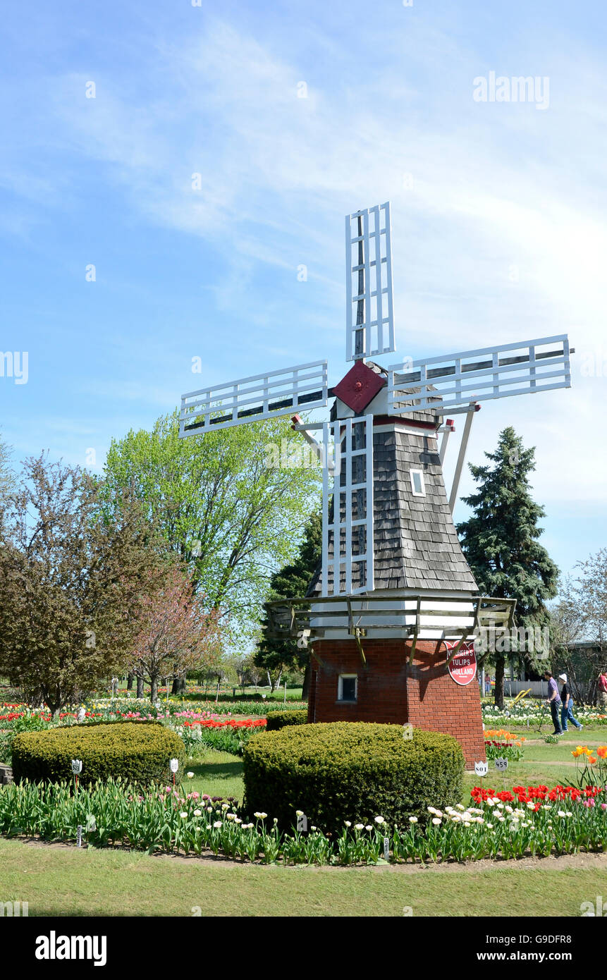 Il mulino a vento a Veldheer azienda durante il tulip time festival in Olanda, Michigan Foto Stock