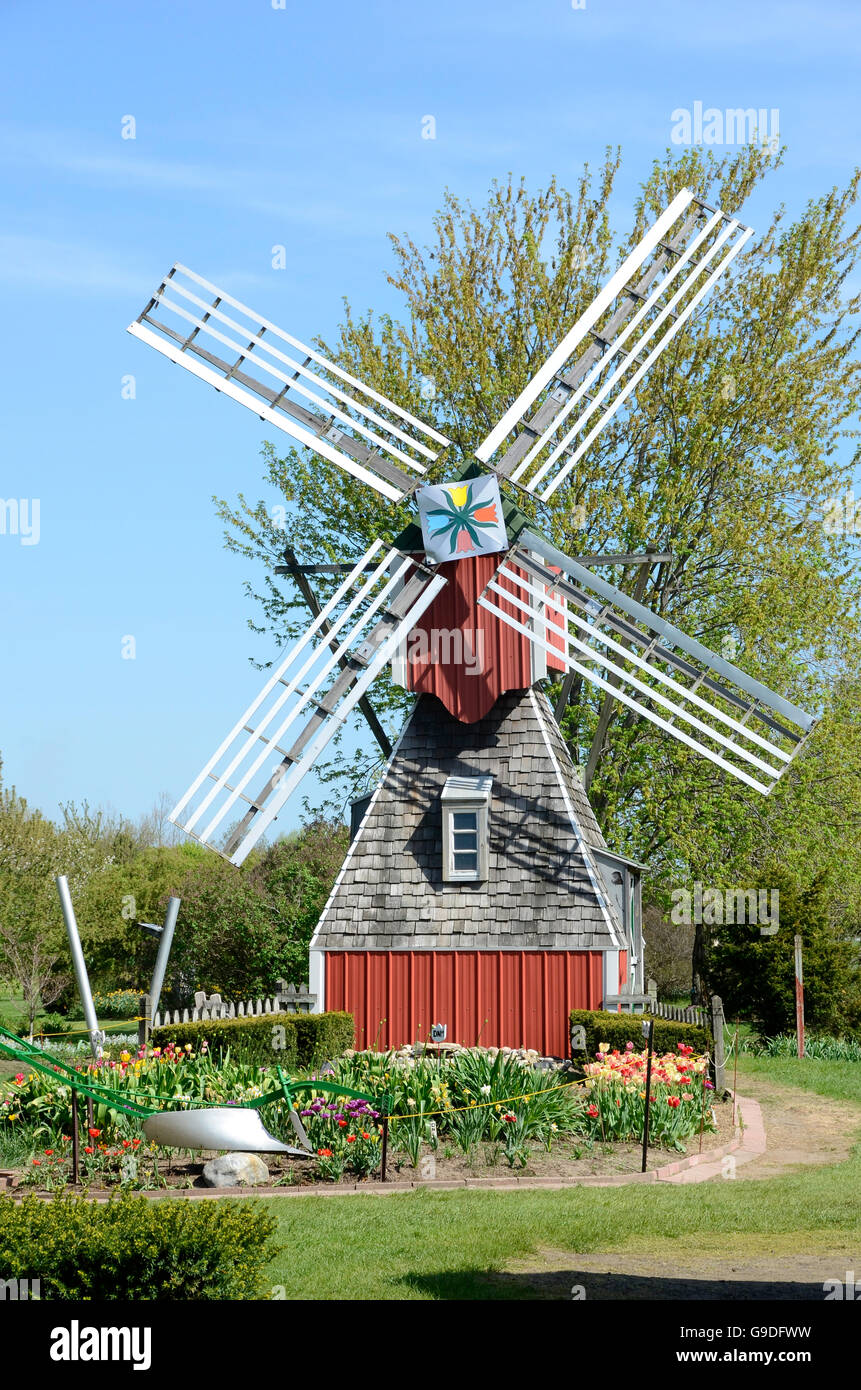 Il mulino a vento a Veldheer azienda durante il tulip time festival in Olanda, Michigan Foto Stock