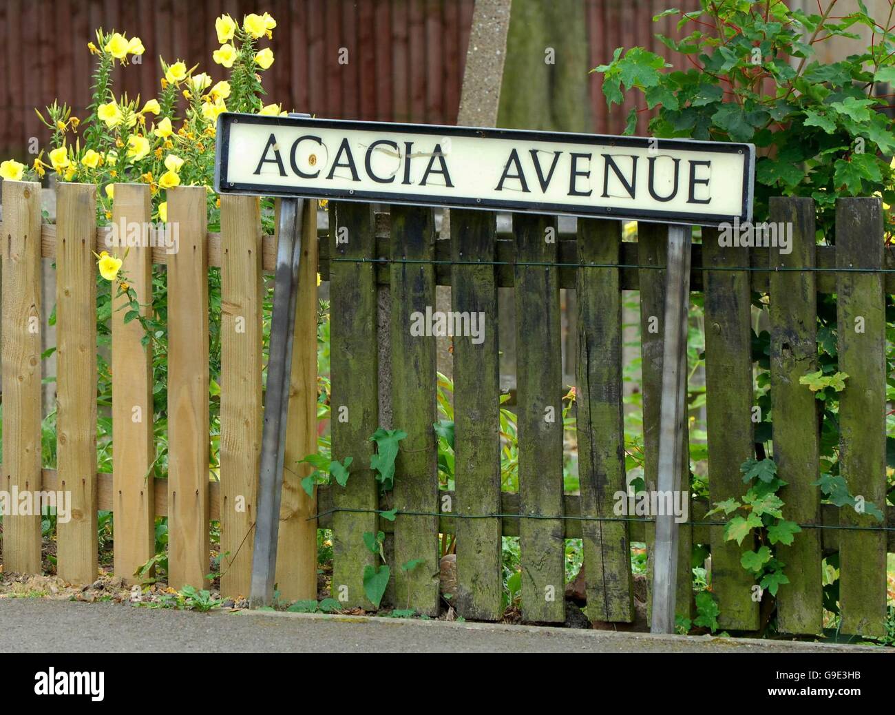 Acacia Avenue a Midway, Swadlincote dopo uno studio sociale pubblicato oggi ha rivelato che i residenti che vivono nelle strade chiamato Acacia Avenue sono felici con le loro vite, raramente si divorziano e sono stati nello stesso lavoro per 11 anni. Foto Stock
