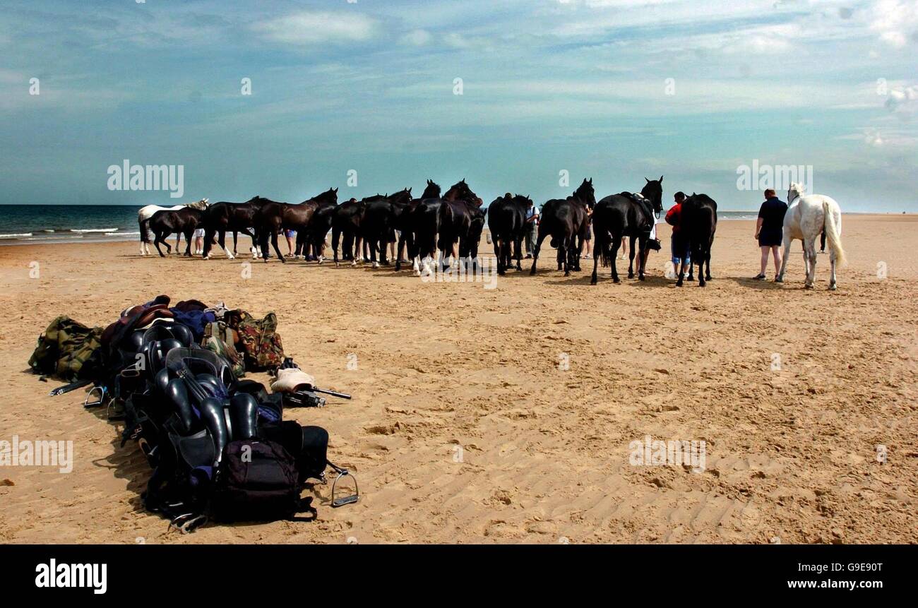 La Gran Bretagna è più famosi cavalli militare di godere di una vacanza al mare in Norfolk. Foto Stock