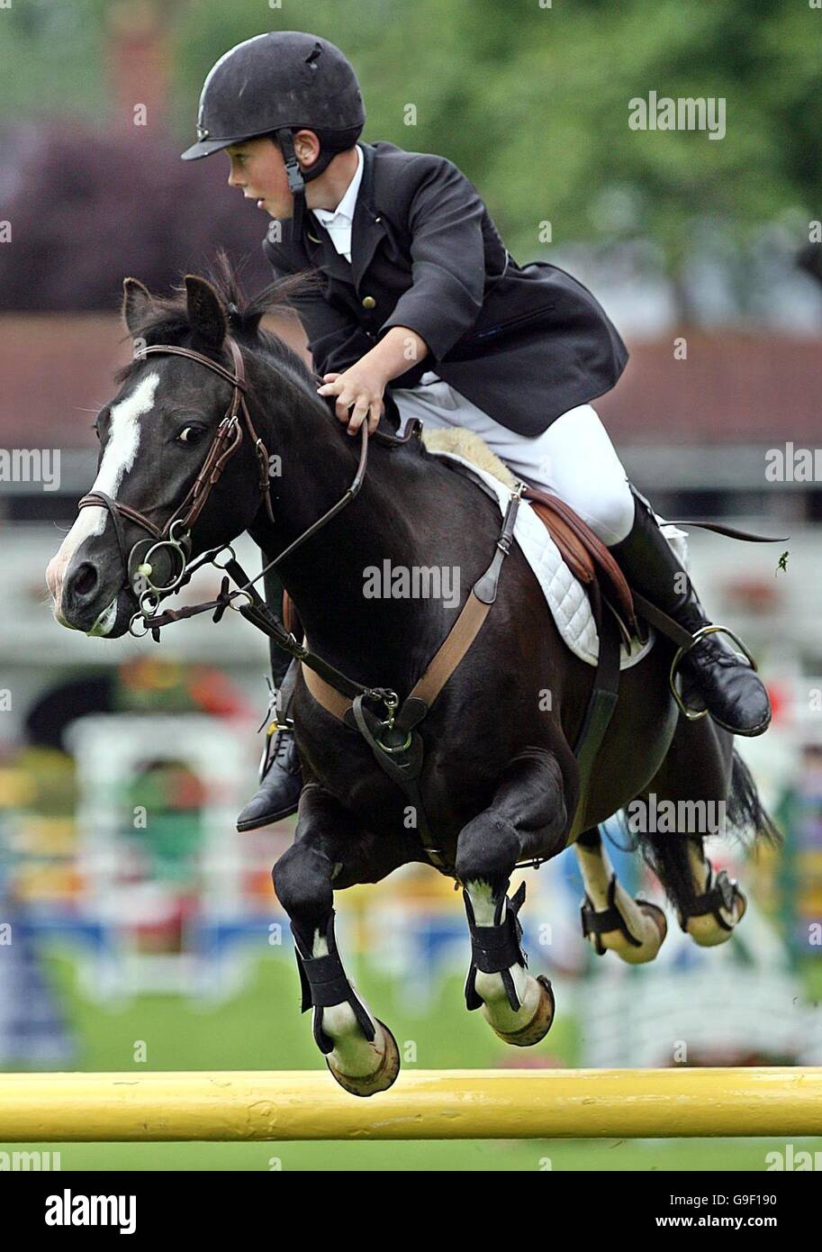 Alex Buller su sto Otto durante le coppie la concorrenza presso il Dublin Horse Show all'RDS a Dublino. Foto Stock