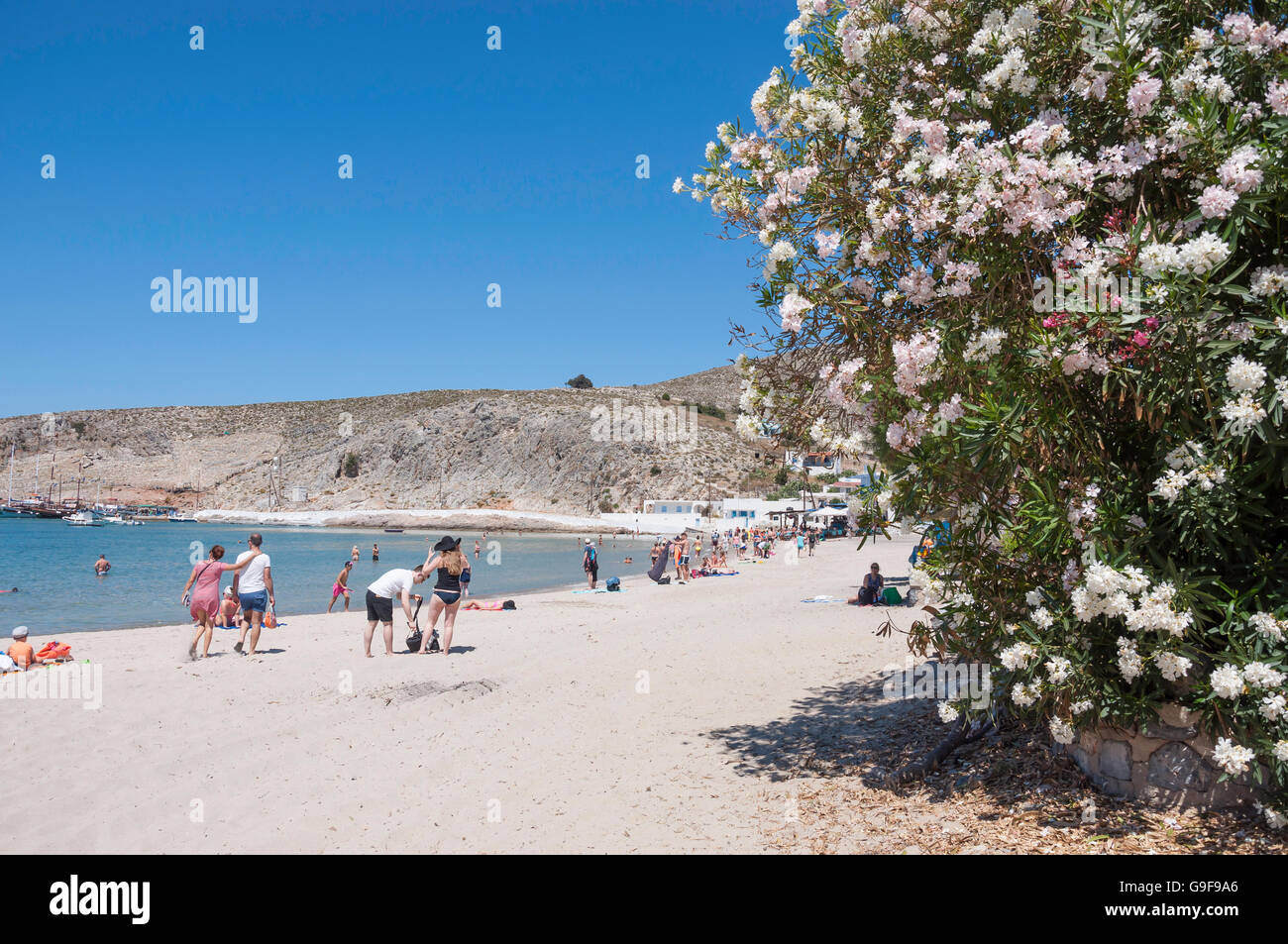 Spiaggia principale sull isola di Pserimos, del Dodecaneso, Egeo Meridionale Regione, Grecia Foto Stock