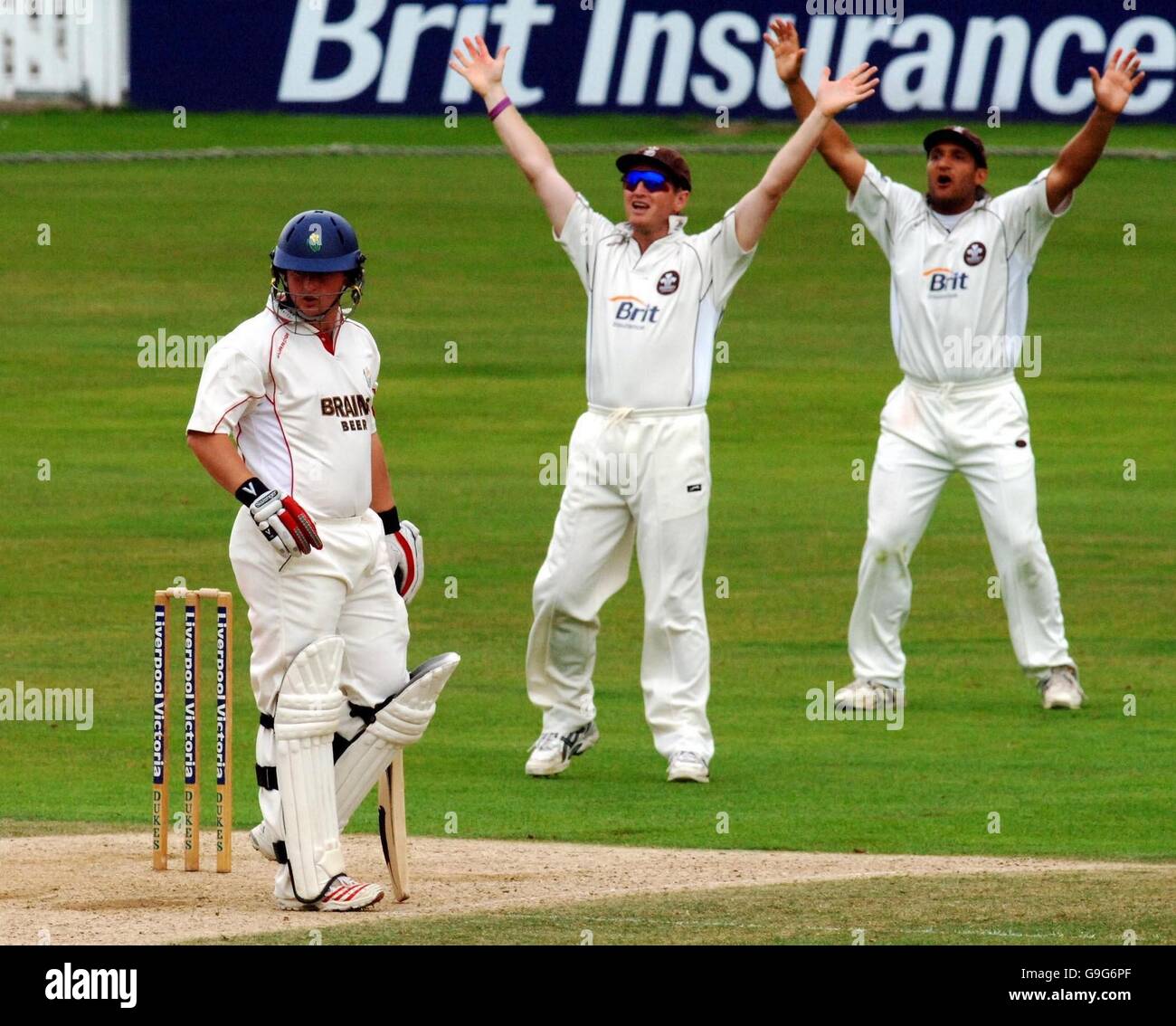 Surrey appello senza successo per il wicket di Richard Grant di Glamorgan (a sinistra) durante il Liverpool Victoria County Championship Division 2 match al Brit Oval, Kennington, Londra. Foto Stock