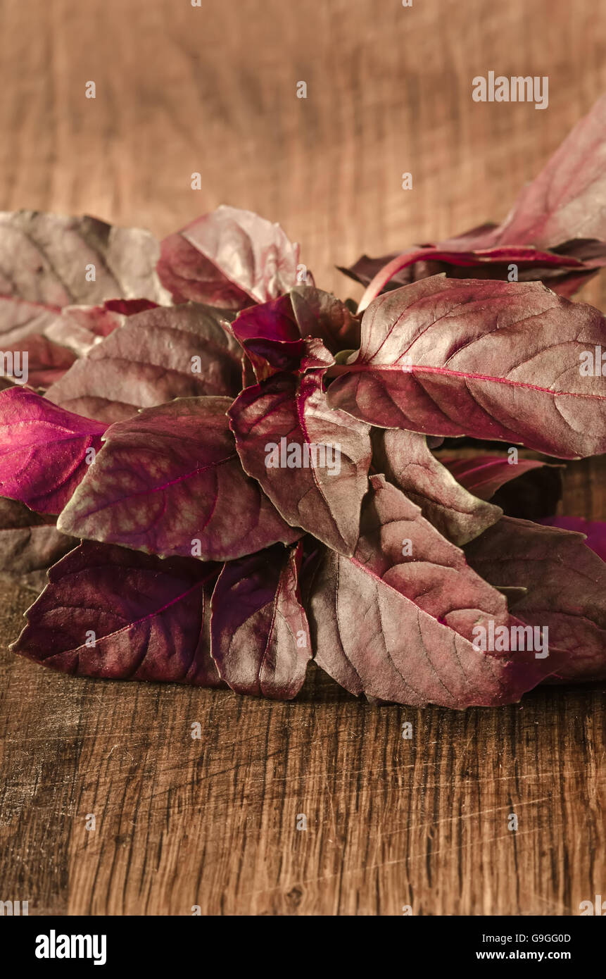 Red basilico foglie fresche su sfondo di legno Foto Stock