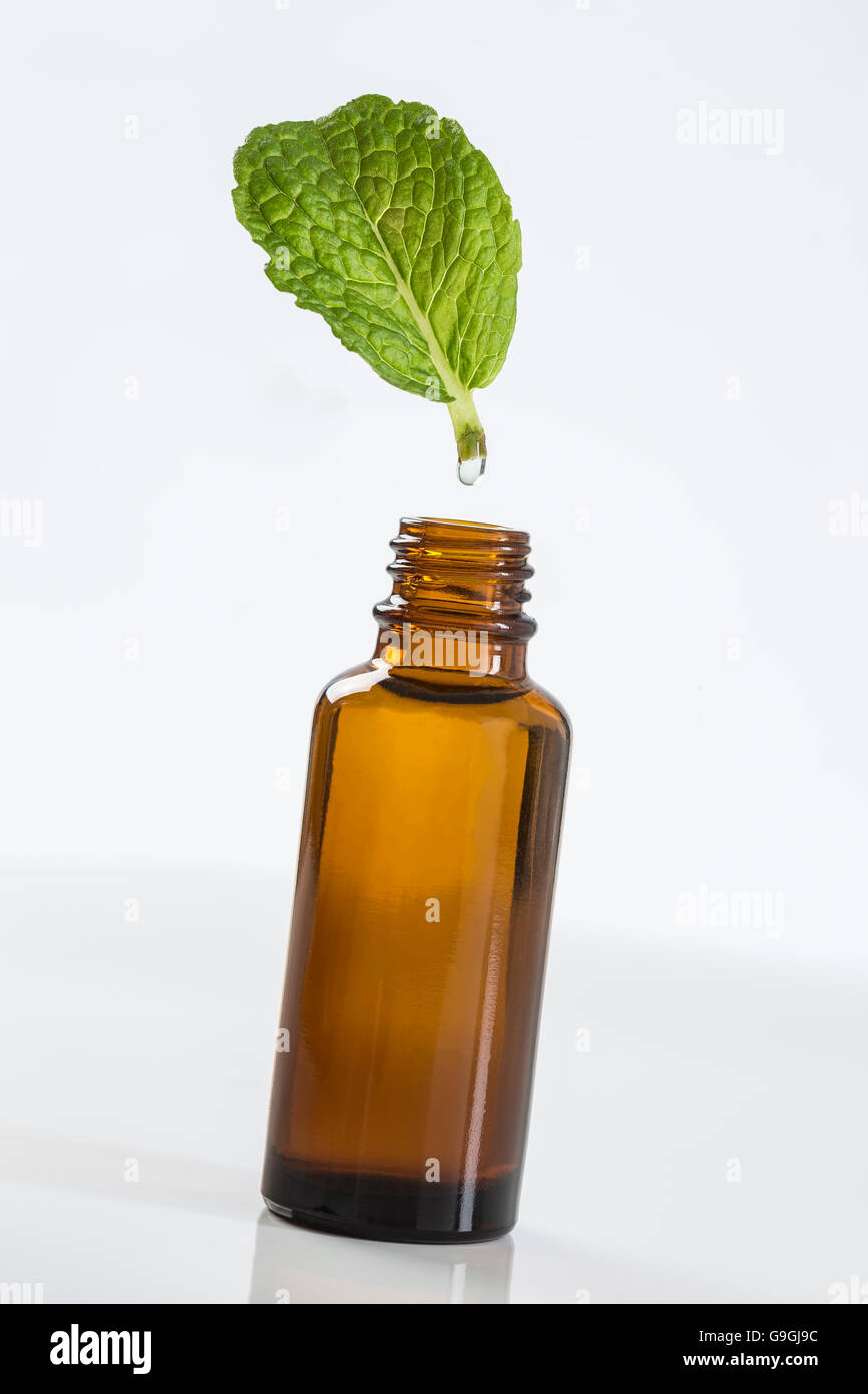 Simbolo di estrazione Pppermint olio essenziale Foto Stock
