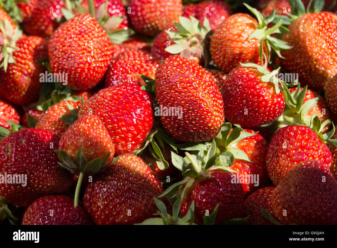Ripresa macro di un mucchio di fragole Foto Stock Ripresa macro di un mucchio di fragole Foto Stock