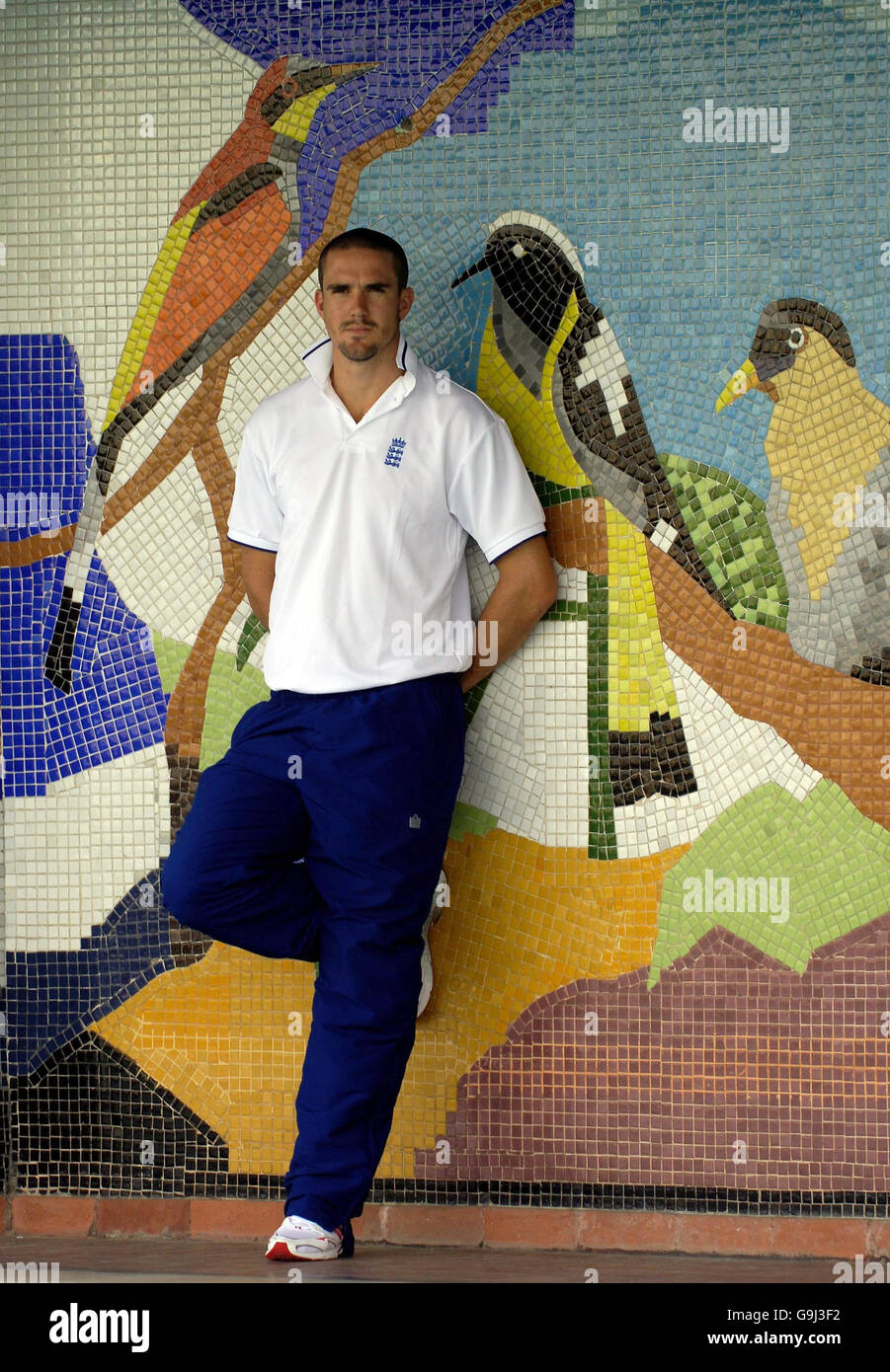 Cricket - Inghilterra conferenza stampa - Team hotel di Delhi Foto Stock