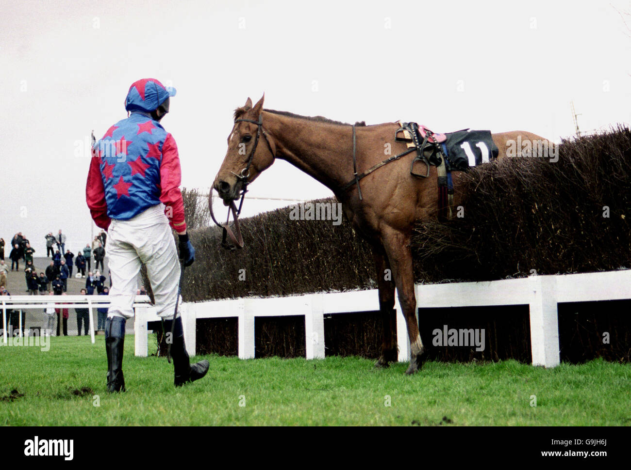 Tom Scudamore guarda il suo cavallo Iorana che è rimasto bloccato nella recinzione dopo averlo sseduto. Foto Stock