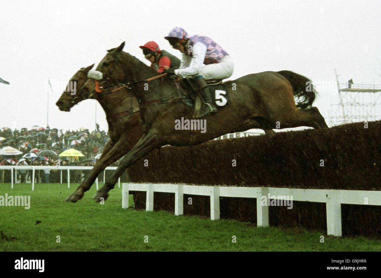 Corse ippiche - Martell Grand National Meeting - Aintree. Ruby Walsh cavalcando Fadalko prende il comando nel 3.10 Martell Melling Steeple Chase Foto Stock