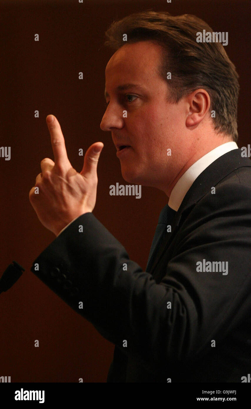 Il leader del Partito conservatore David Cameron parla all'Institute of Directors per un pranzo annuale all'Europa Hotel di Belfast, Irlanda del Nord. Foto Stock