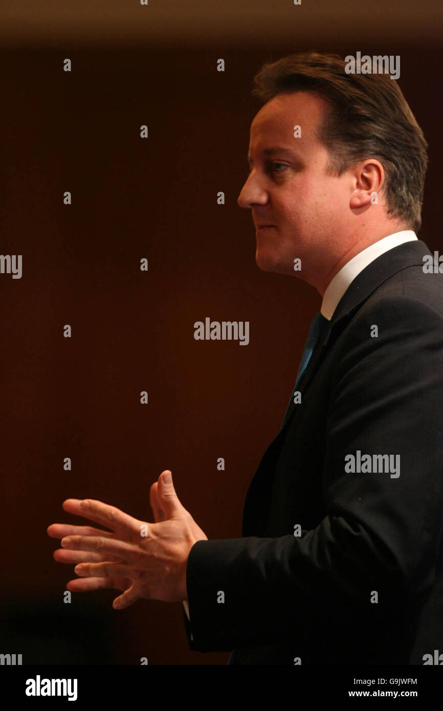 Il leader del Partito conservatore David Cameron parla all'Institute of Directors per un pranzo annuale all'Europa Hotel di Belfast, Irlanda del Nord. Foto Stock