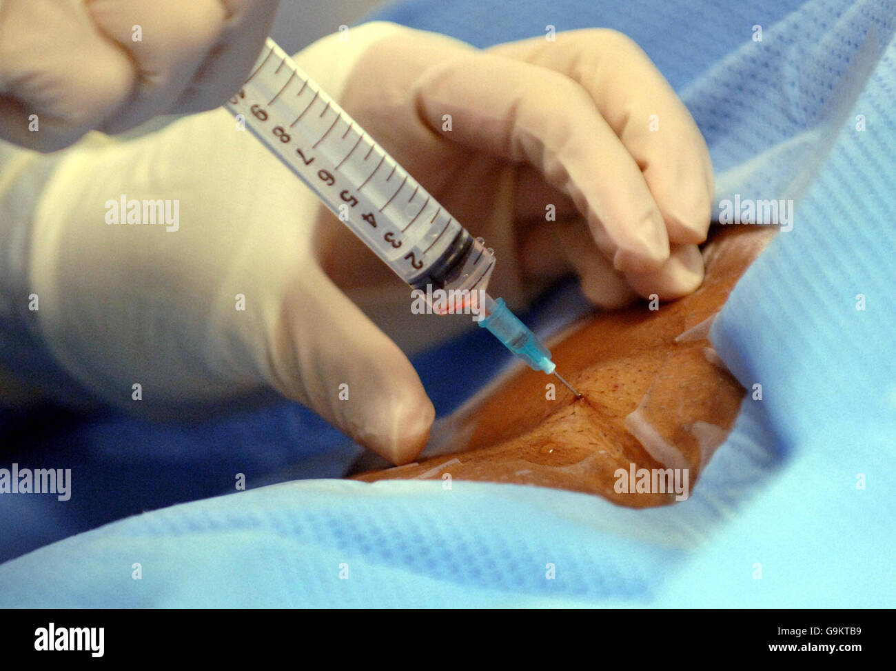 Funzione di salute Foto Stock