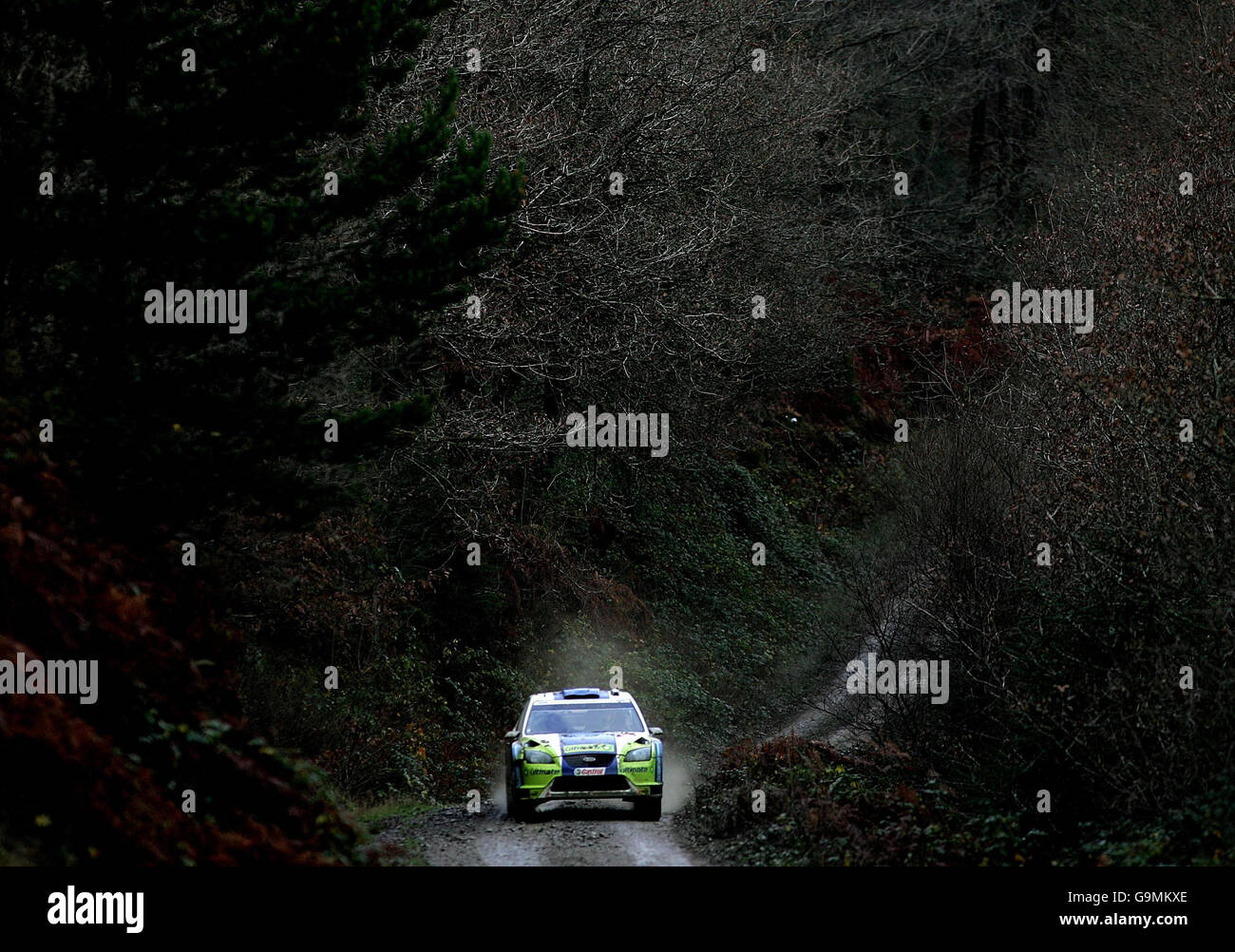 Marcus Gronholm in Ford Focus WRC 06 durante la fase Trawscoed del Wales Rally Great Britian in Carmarthenshire. Foto Stock