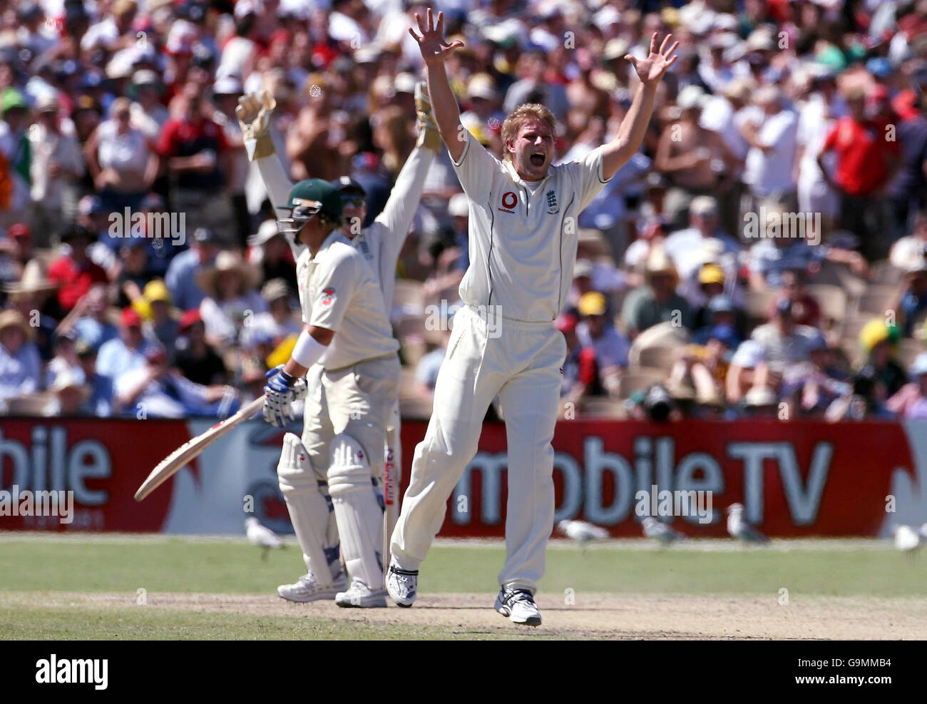 Matthew Hoggard in Inghilterra si appella con successo per il wicket di Shane Warne in Australia durante il quarto giorno della seconda partita di test all'Adelaide Oval, Adelaide, Australia. Foto Stock