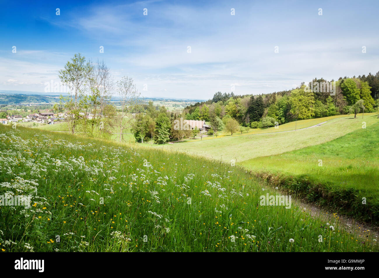 Natura paesaggio del bosco al di sopra di un villaggio a San Gallo in Svizzera Foto Stock