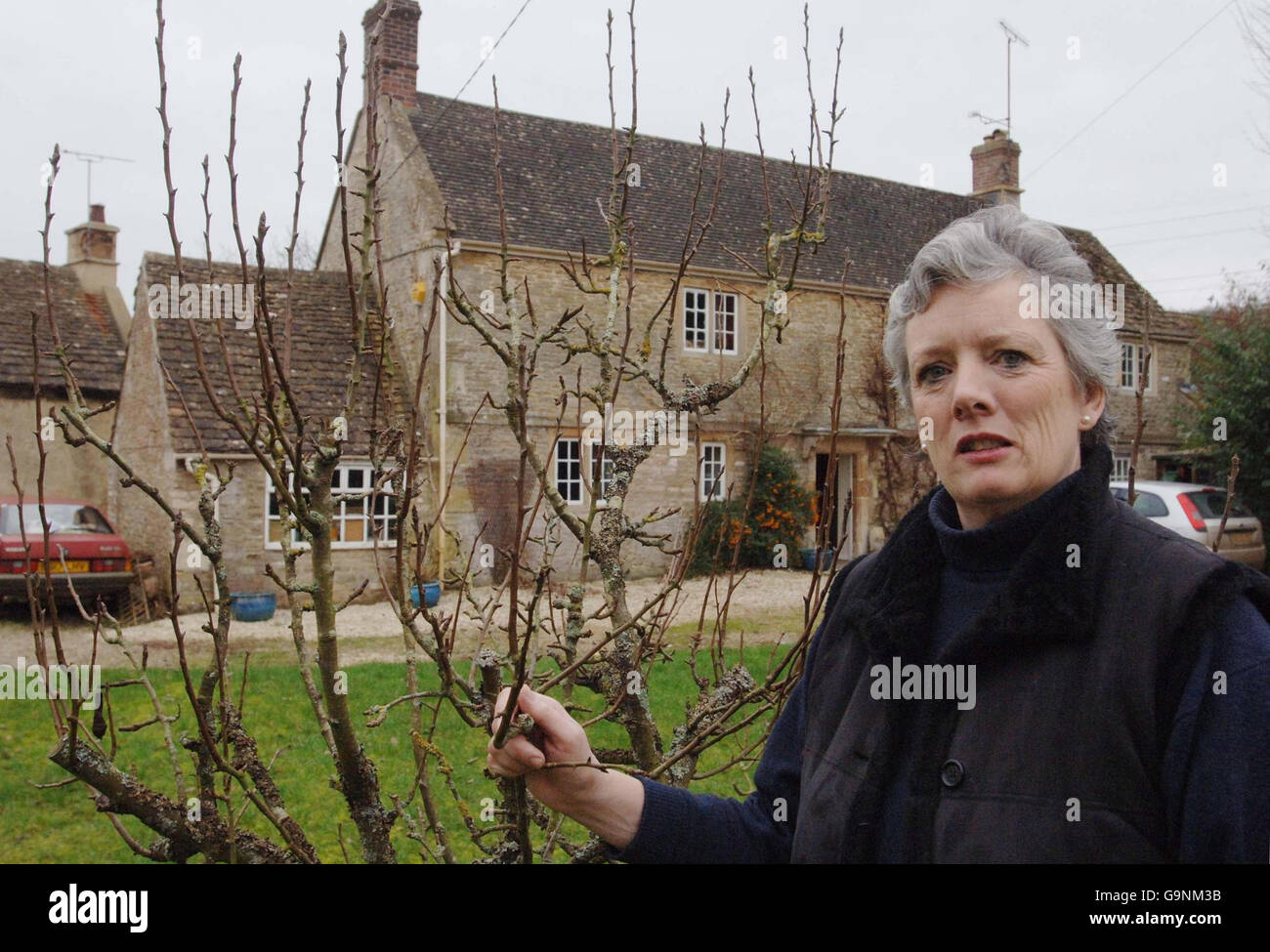 Moglie di amore cheat Tory MP Foto Stock