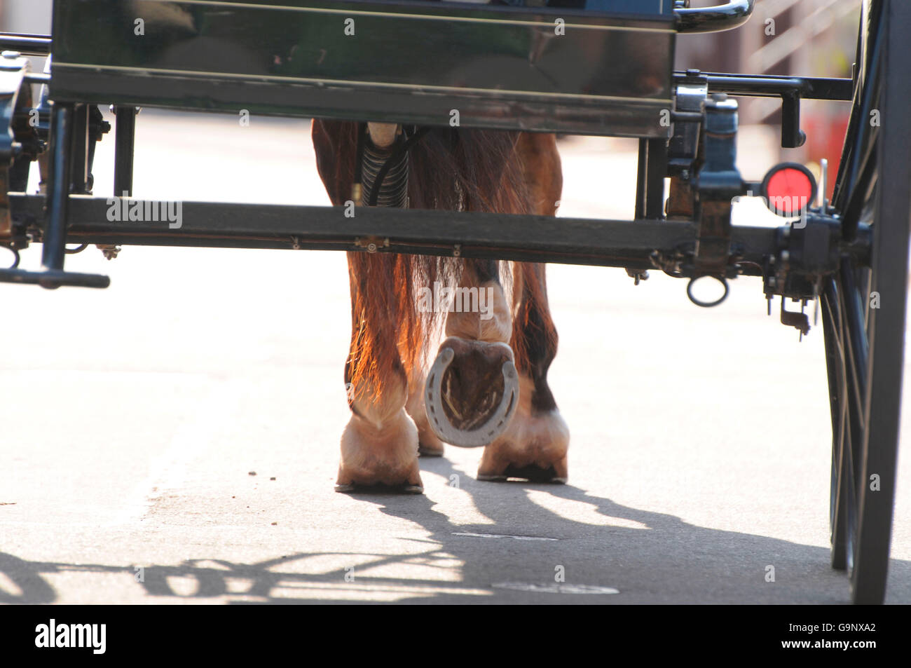 Cavallo / guida carrello, ruote, a ferro di cavallo Foto Stock