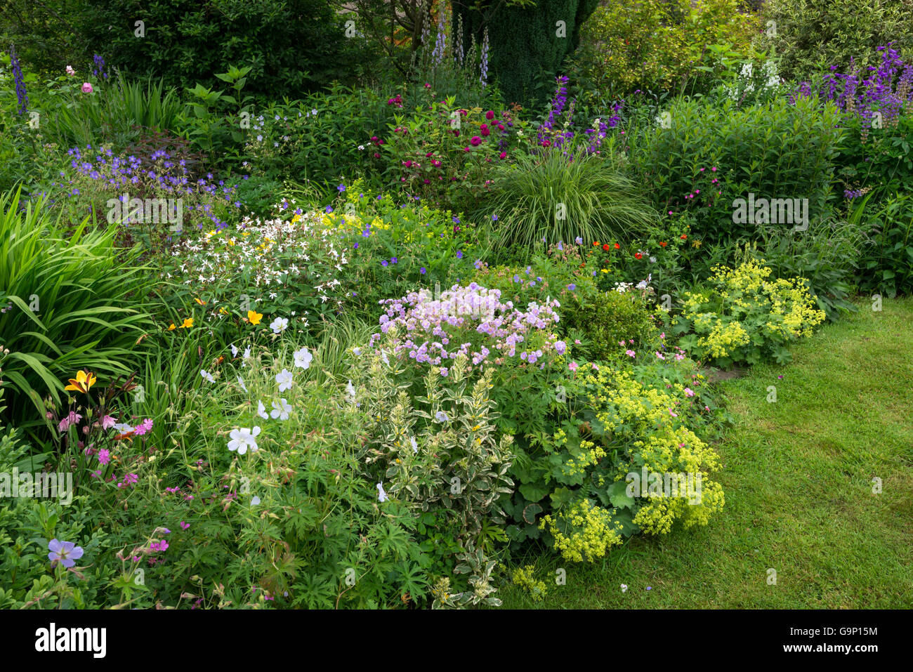 Bella English Country Garden a metà estate. Un abbondanza di piantando mescolato tra cui vari arbusti e piante perenni. Foto Stock