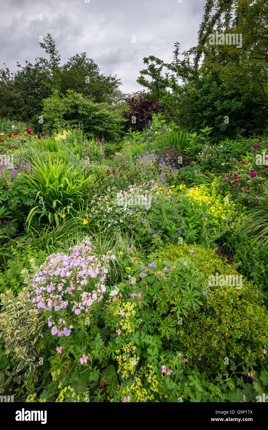 Bella English Country Garden a metà estate. Un abbondanza di piantando mescolato tra cui vari arbusti e piante perenni. Foto Stock