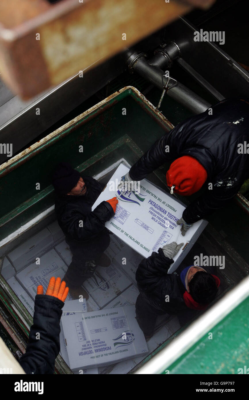 I pescatori scaricano una nave nelle banchine di Stanley, Isole Falkland. Foto Stock