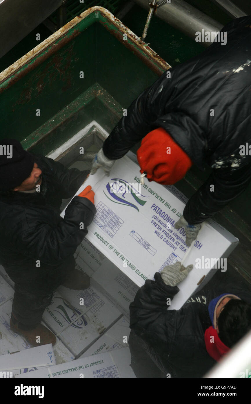 I pescatori scaricano una nave nelle banchine di Stanley, Isole Falkland. Foto Stock