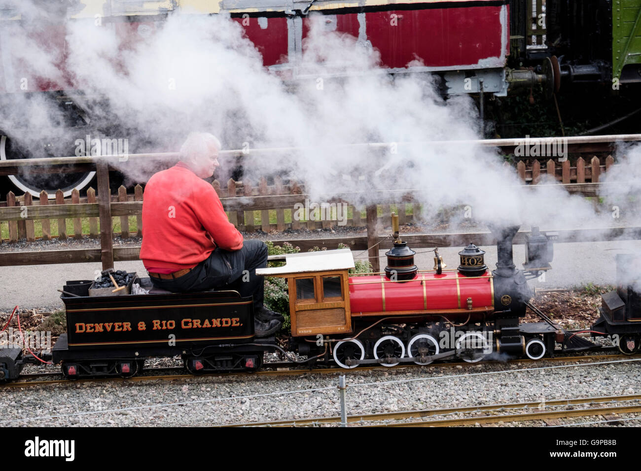 Uomo alla guida di ferrovia in miniatura treno a vapore il motore a Conwy Valley Railway Museum. Betws-y-Coed, il Galles del Nord, Regno Unito, Gran Bretagna Foto Stock