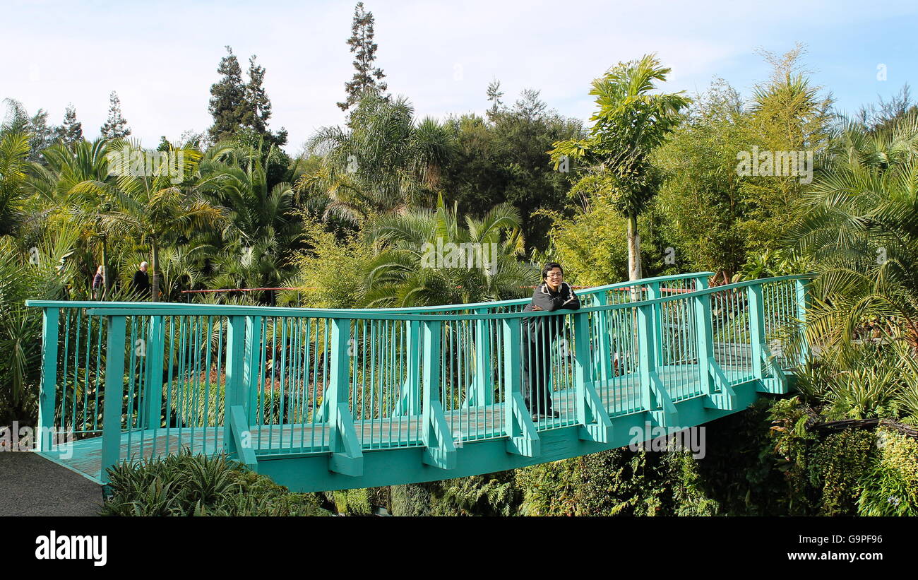 Ragazzo su un ponte in Hamilton Gardens, Nuova Zelanda Foto Stock