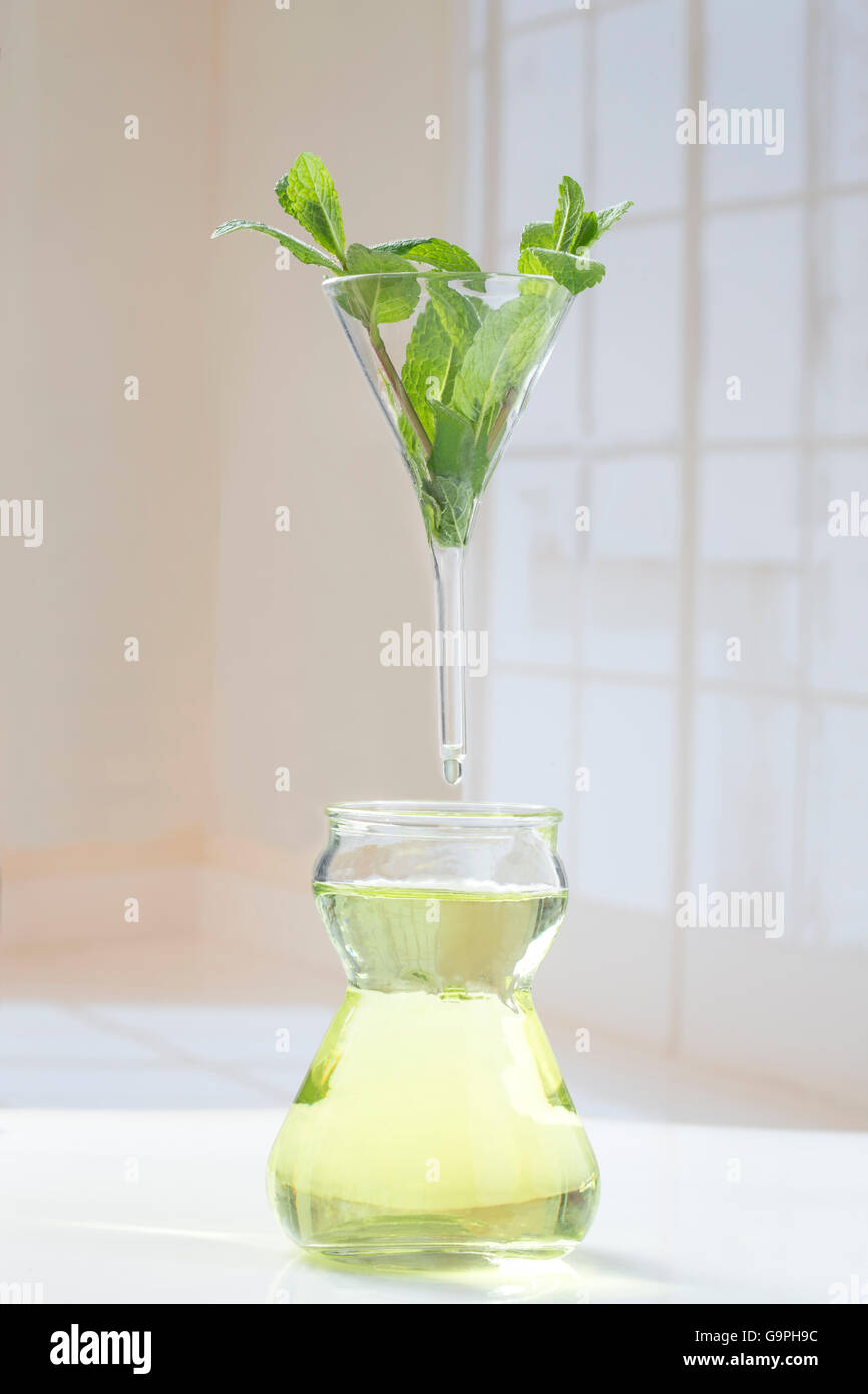 Olio essenziale di simbolo di estrazione di menta piperita olio essenziale Foto Stock
