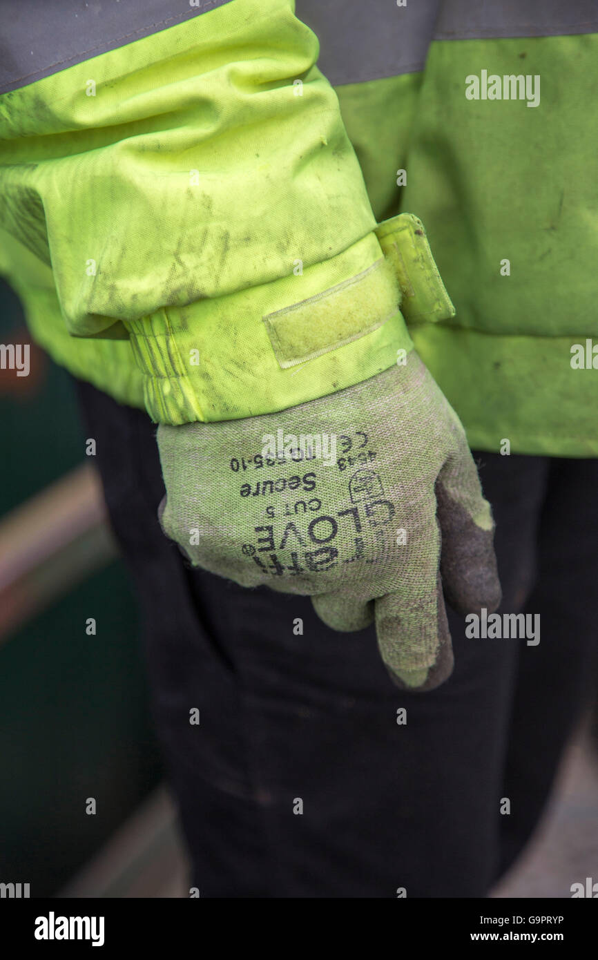 Un Lavoratore che indossa guanti di sicurezza e un hi vis giacca di sicurezza (hi visibilità camicia) Foto Stock