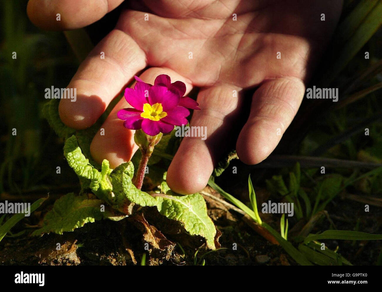 Gli esperti avvertono di minacce dal cambiamento climatico Foto Stock