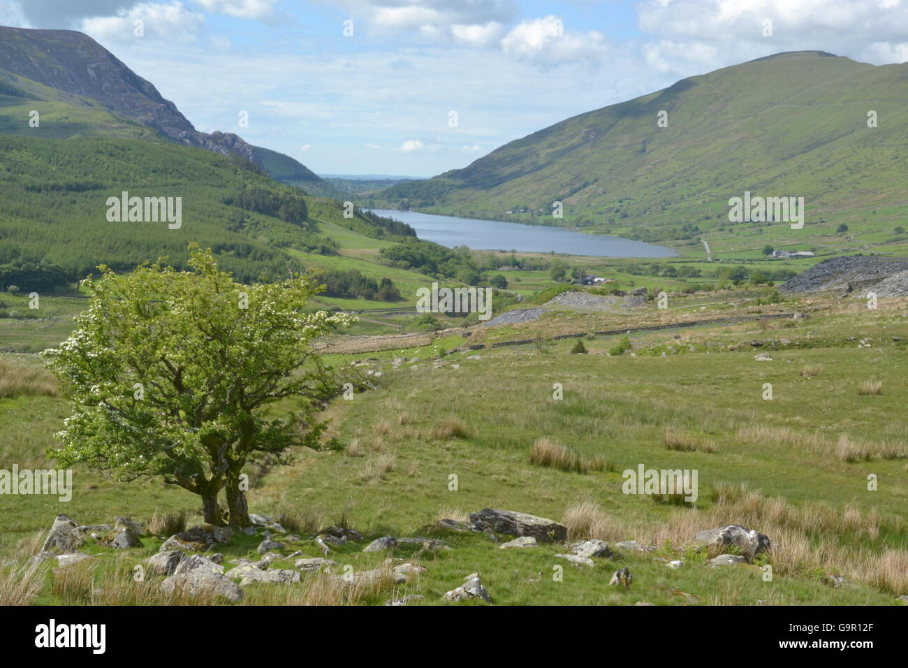 Una valle nel parco nazionale di Snowdonia,Galles prese dal rhyd ddu percorso. Foto Stock