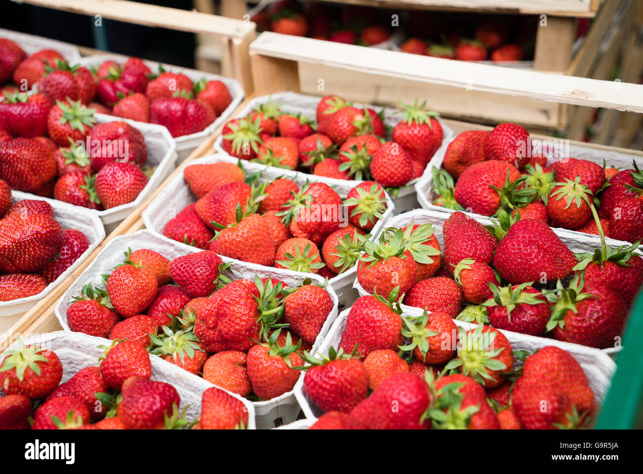 Scatole di fragole nel mercato contadino Foto Stock