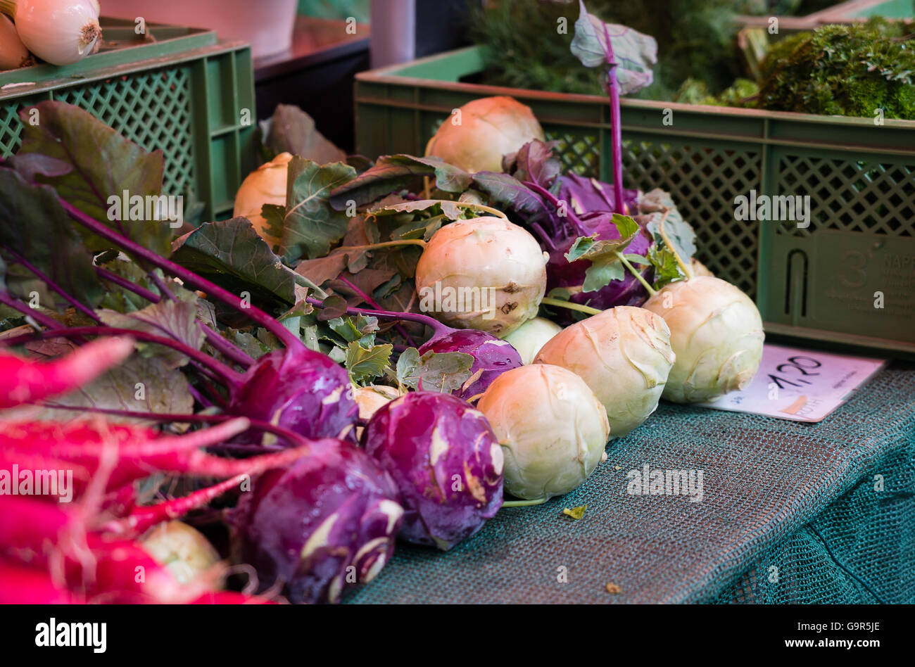 Appena raccolto kohirabi al mercato di fattoria Foto Stock