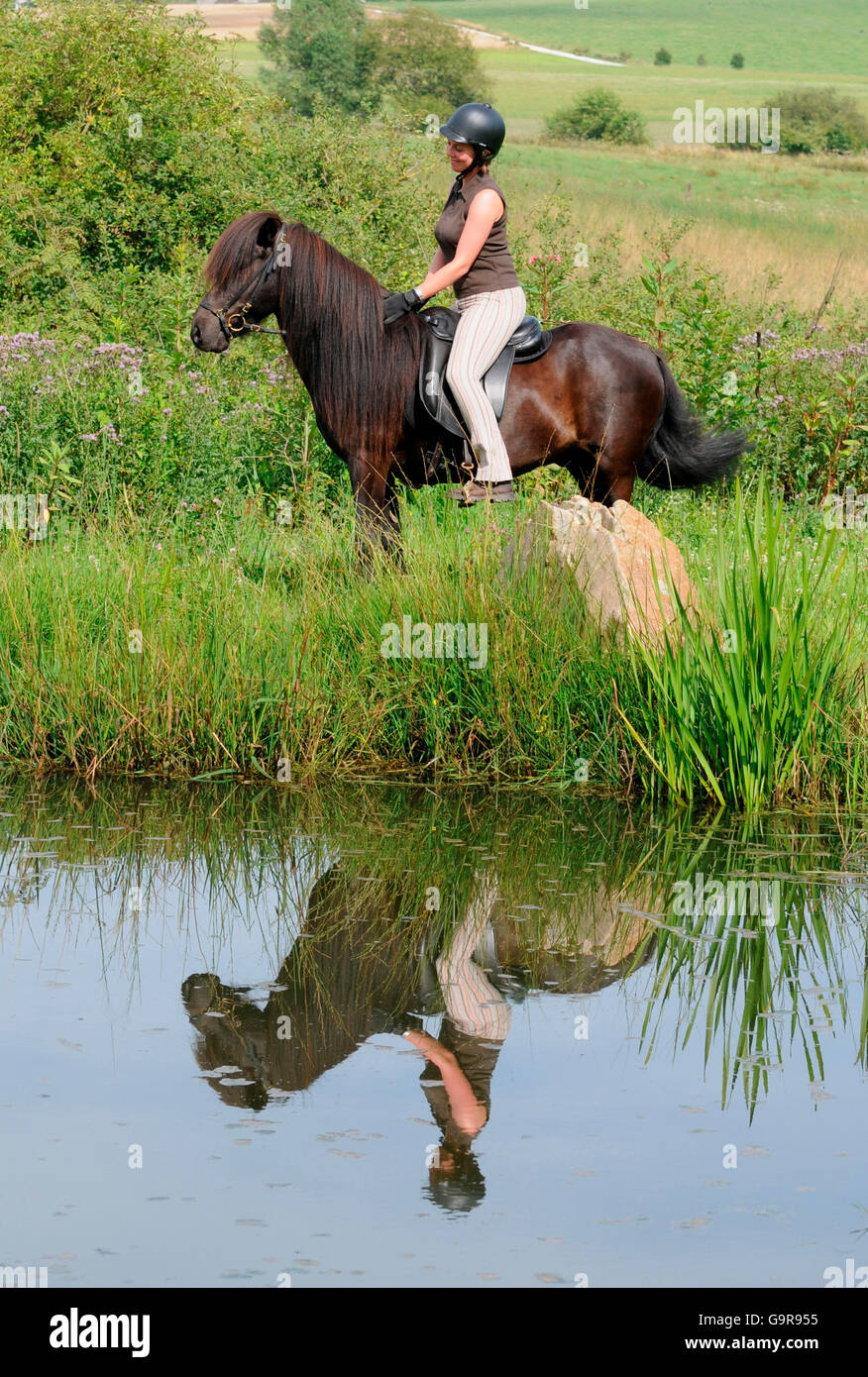 Donna sulla balla di paglia, con Pony islandese / equitazione casco Foto Stock